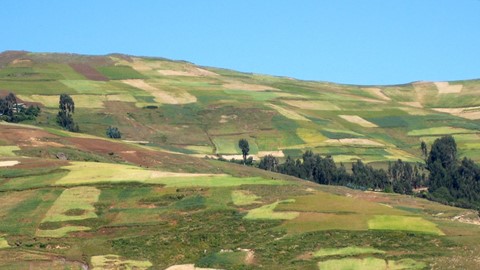 Ethiopia Landscape Reila Edit