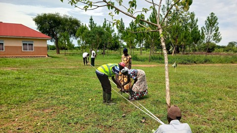 IFPA CD Land Preparation Training Gender Equality Obongi Joel Eyoyo 2