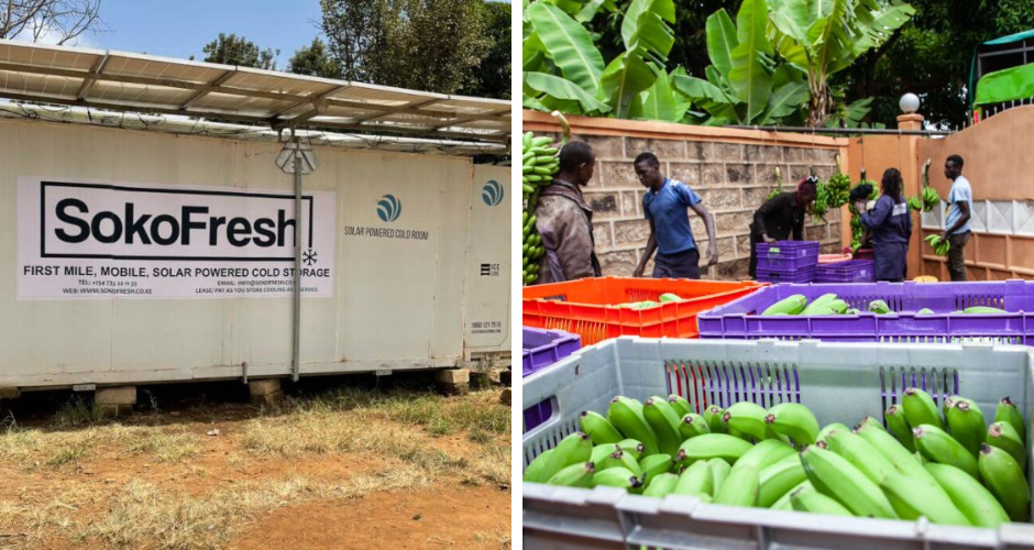 Stimulating innovation and efficiency in food production around the globe