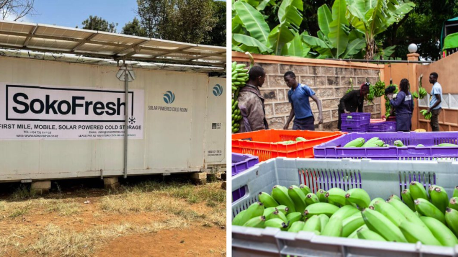 Sokofresh Stimulating innovation and efficiency in food production around the globe