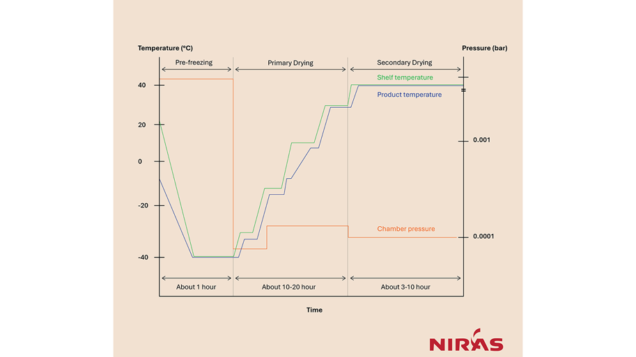 Lyophilization Graph Bulk freeze drying: Scaling up lyophilization for large scale production