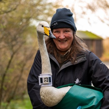 Eileen With Whooping Swan V2