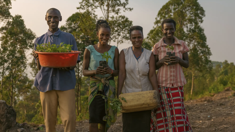Building Economic Opportunities For Farmers In 19 Refugee Hosting Districts In Uganda Through Sustainable Woodlots