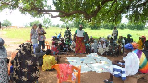 Gender Analysis Tree