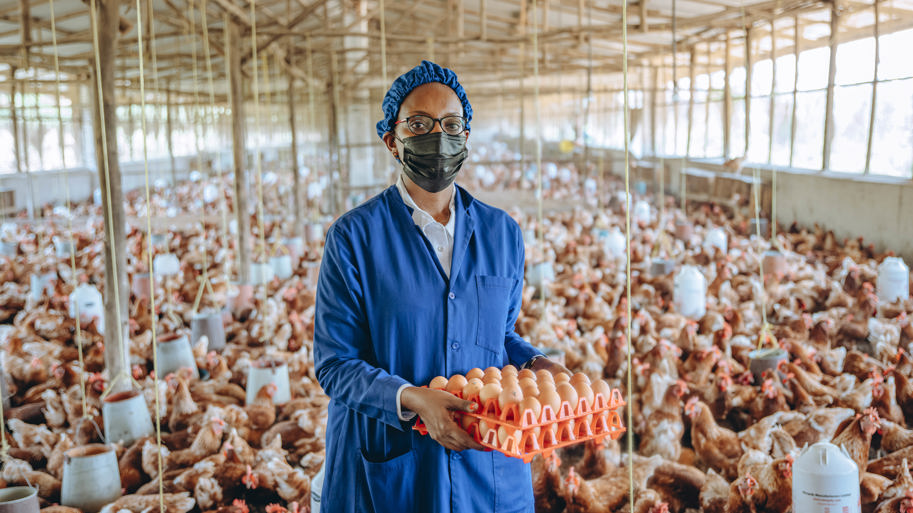 Inclusive agri-food systems prove to be a smart investment
