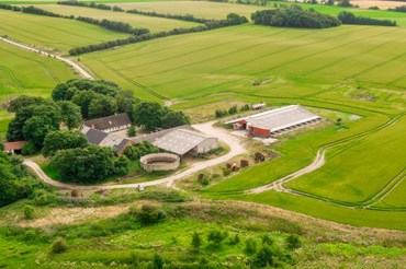 Ten forests will help Denmark’s largest retail group to become climate positive