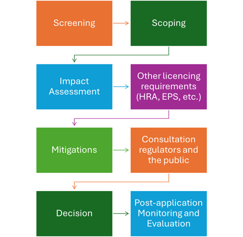 Marine licensing design process