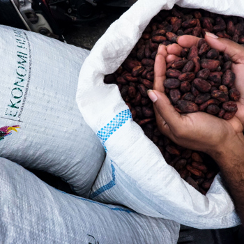 Los proyectos de resiliencia del sistema de mercado analizan lo que se necesita en el sistema y se asocian con personas que tienen la capacidad de generar ideas pioneras.
