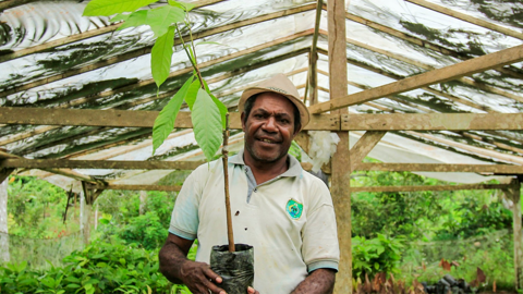 09 The Green Economic Growth For Papua Province Programme