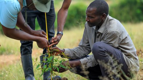 Woodlots Project Insight Piece Monitoring Visit Kamwenge Artmaid 5