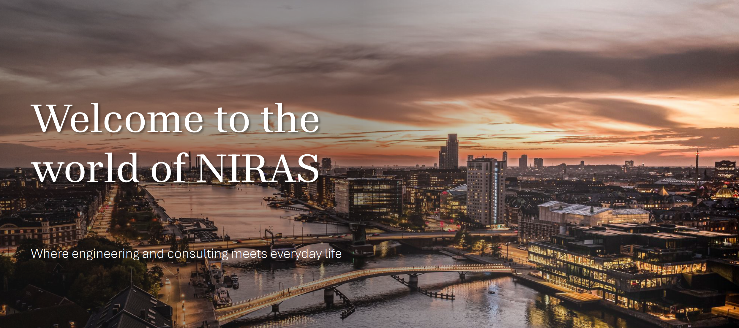 Welcome to the world of NIRAS