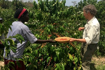 Uganda Coffe Farmers