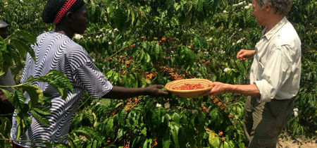 Uganda Coffe Farmers