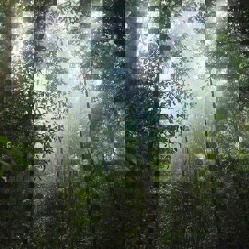 Crystal Mirallegro C6gmjauwmbu Unsplash