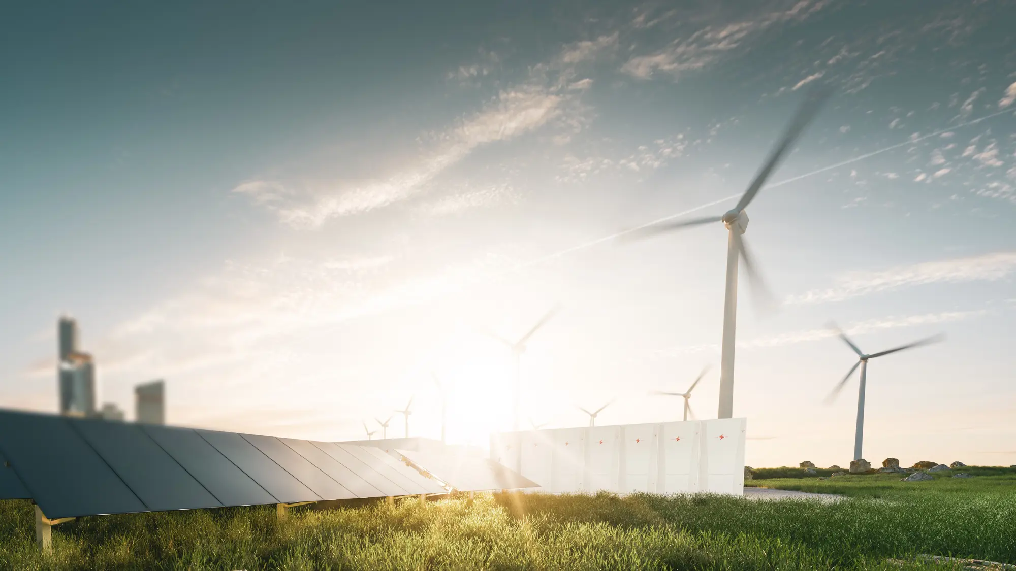 Welcome To NIRAS.Com