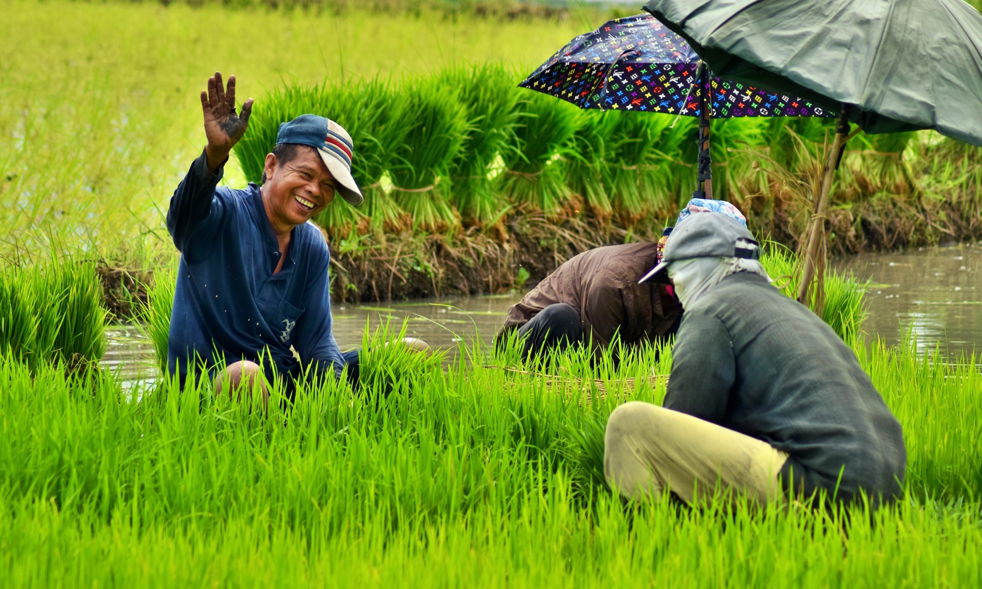 Strengthening the Philippines’ key sectors against climate change
