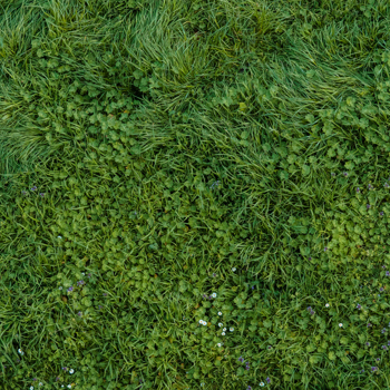 Biorefine