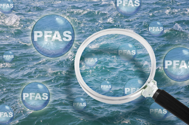 PFAS Credit Francesco Scatena