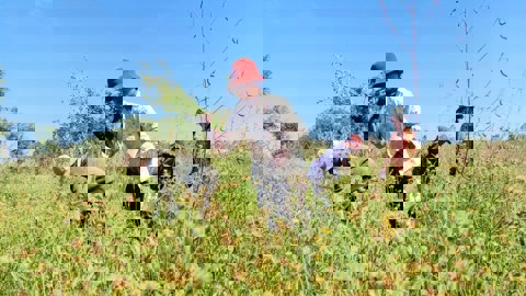 WAT4CAM Photo 2022 12 05 Cover Crop Seed Harvest In PVH4 Copy