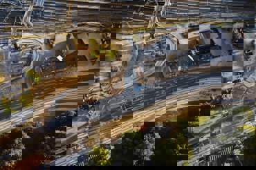 COMPRESS 01 Odense Letbane Cykelbro Westersoe Istock 1409905926 Min