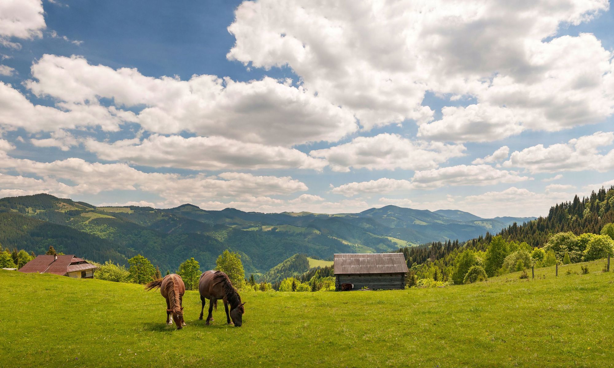 New State Agrarian Registry Enables Distribution Of 50 Million In EU new-state-agrarian-registry-enables-distribution-of-50-million-in-eu