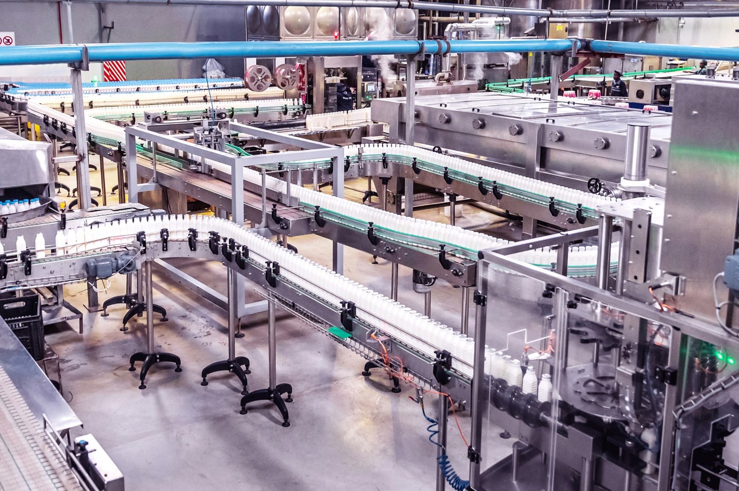 The future of Guernsey Dairy