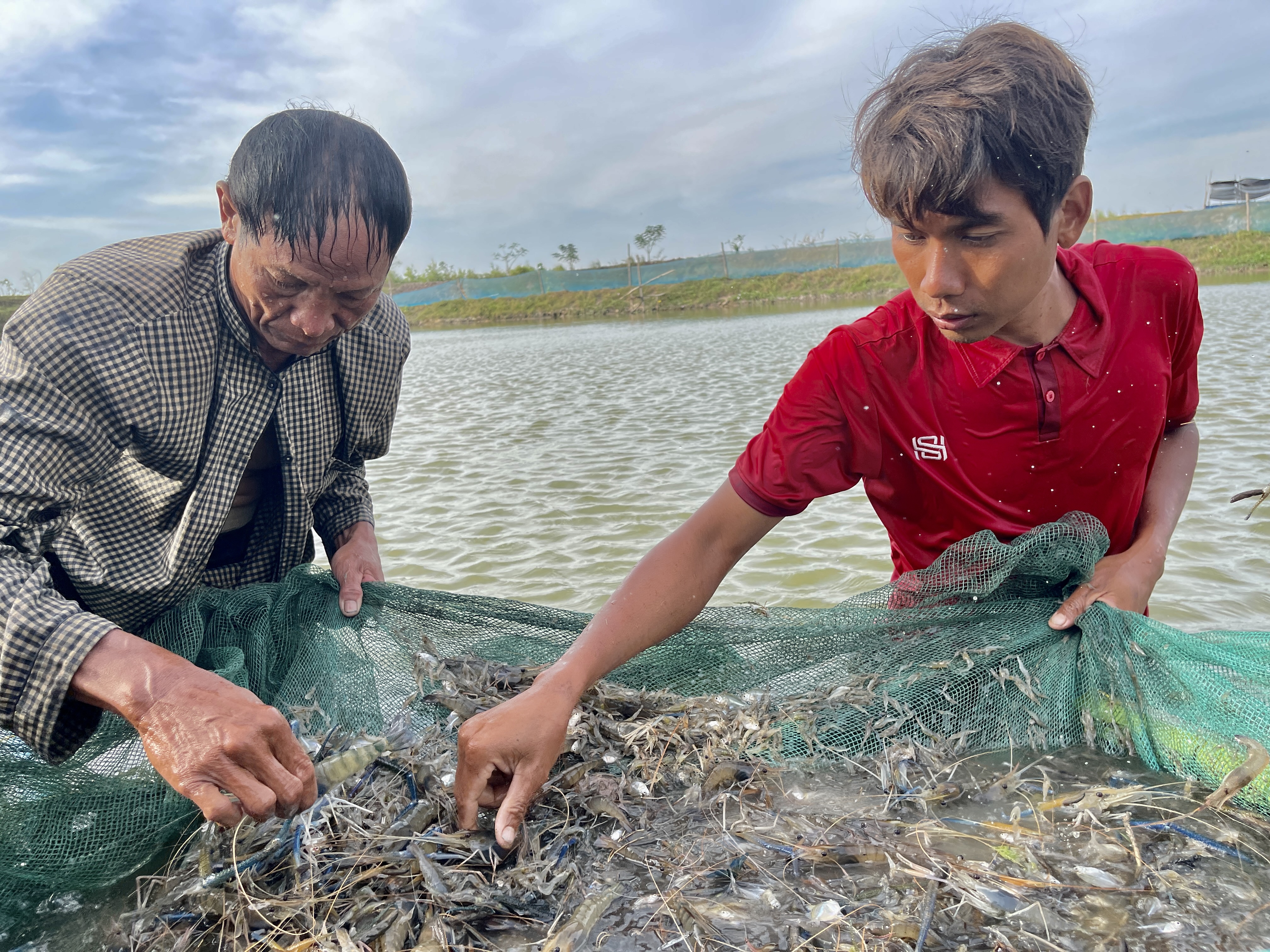 Promoting sustainable aquaculture practices among Cambodia’s farmers to ...